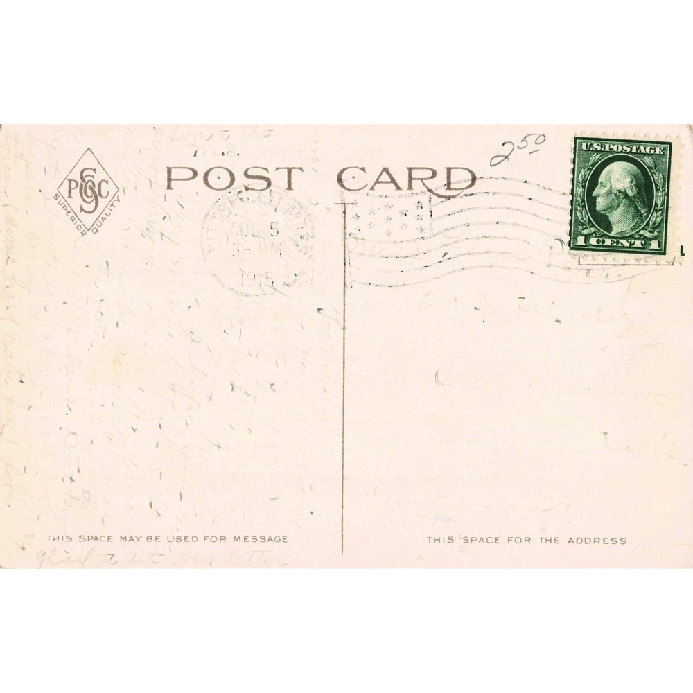Vintage 1915 Museum of Natural History and Art Pittsfield Massachusetts Postcard - Picture 2 of 2
